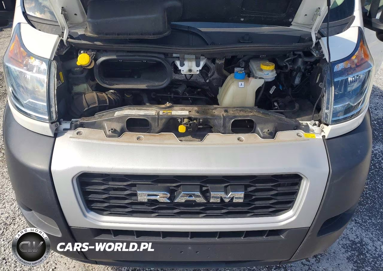 2021 Ram Promaster 1500 Delivery Van VIN:3C6LRVAG0ME560018 - 12