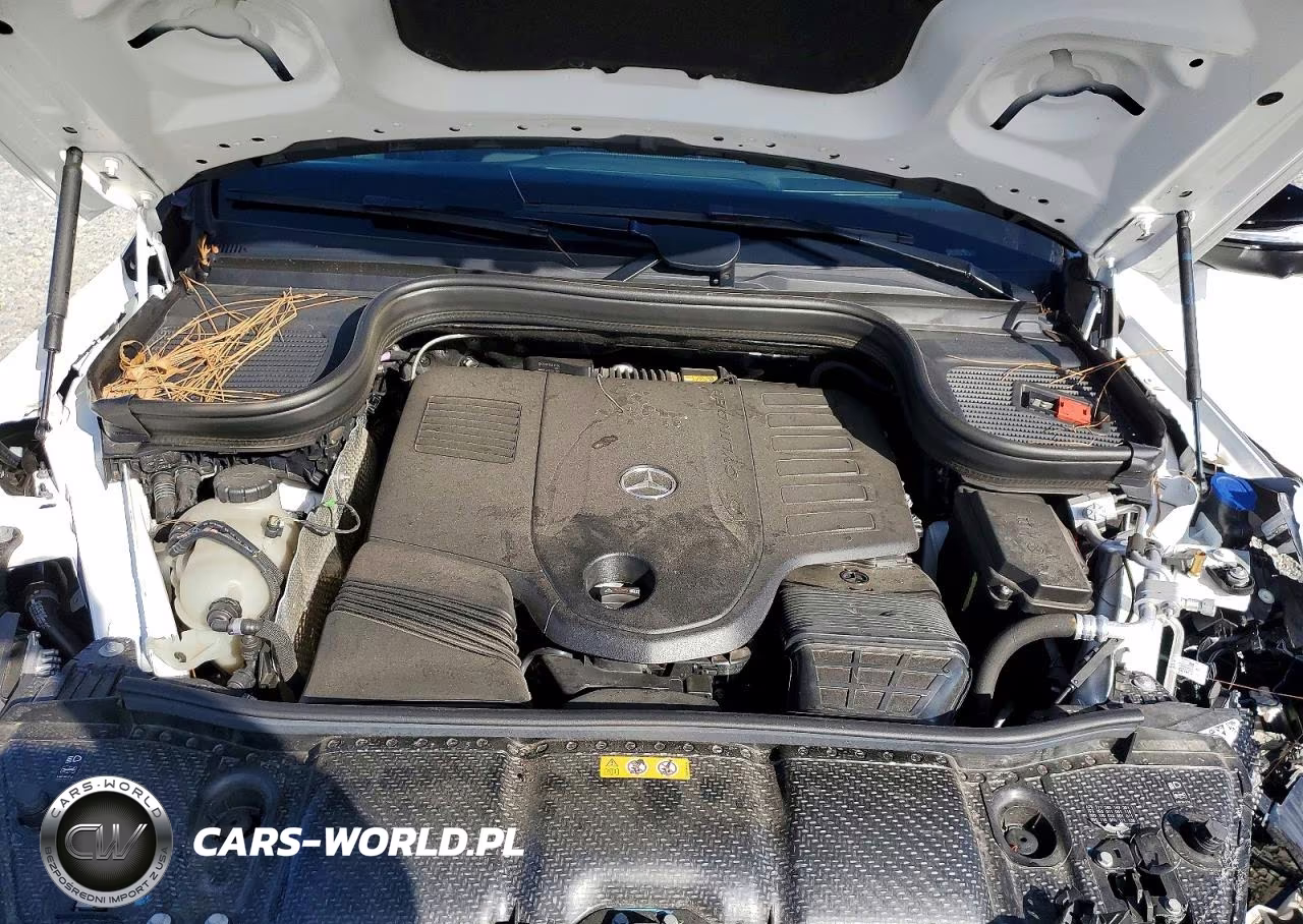 2025 Mercedes-Benz Gls 450 4Matic VIN:4JGFF5KE0SB296610 - 12