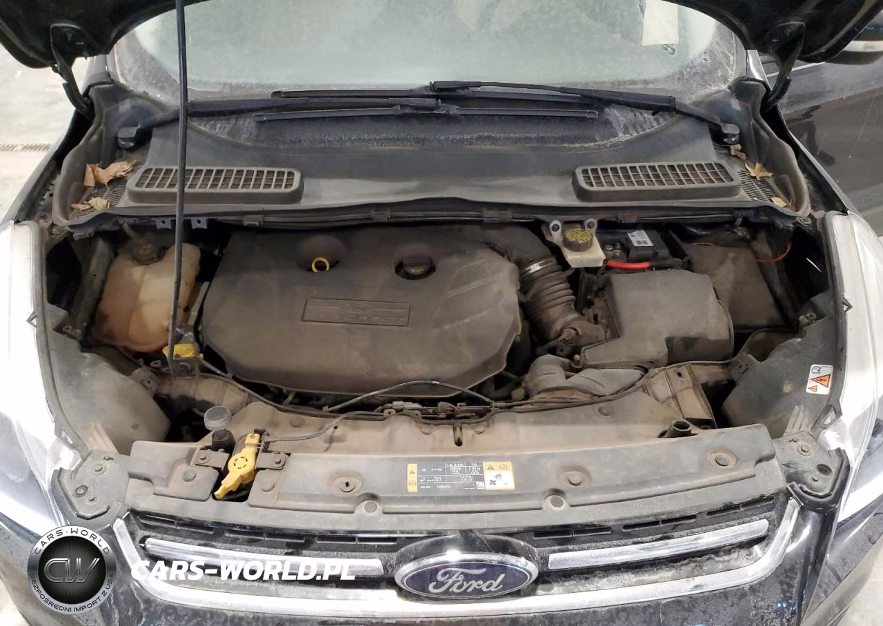 2014 Ford Escape Titanium VIN:1FMCU0J93EUB61503 - 12
