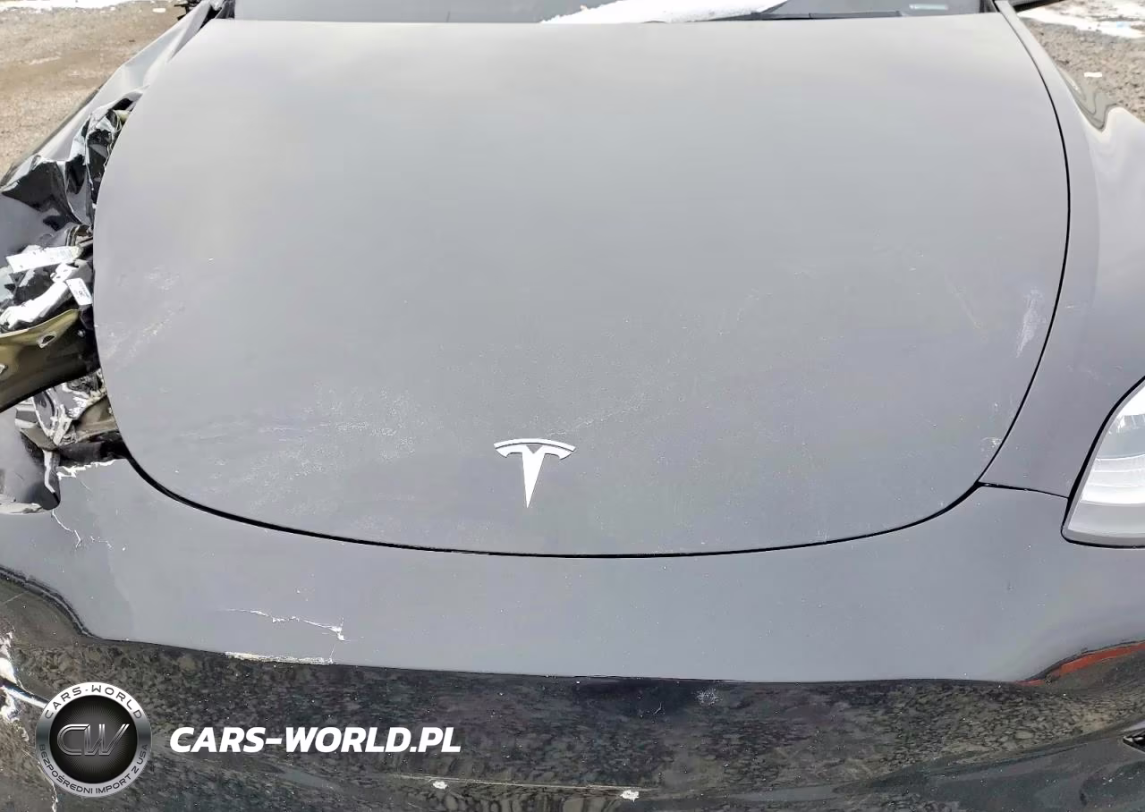 2023 Tesla Model Y VIN:7SAYGDEEXPA119065 - 11