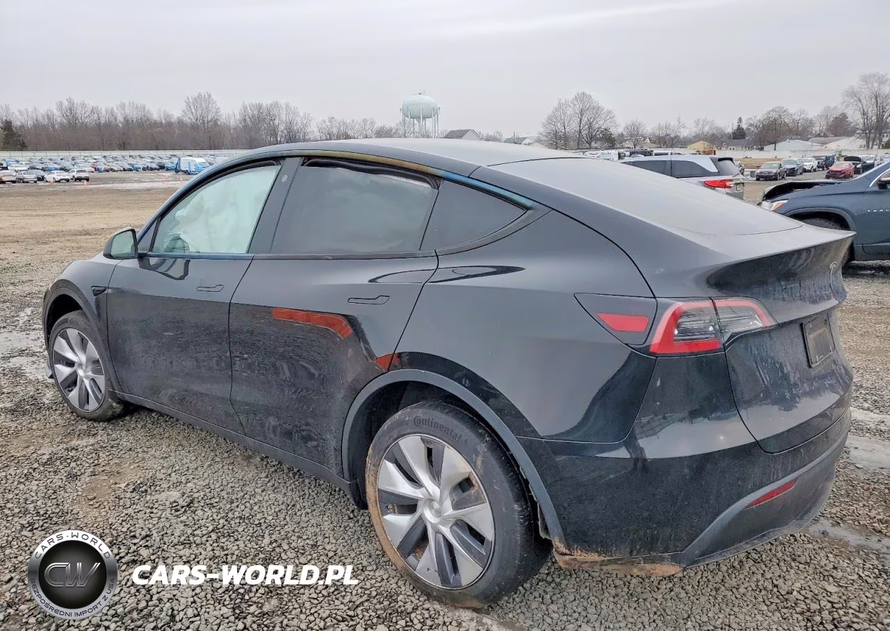 2023 Tesla Model Y VIN:7SAYGDEEXPA119065 - 2
