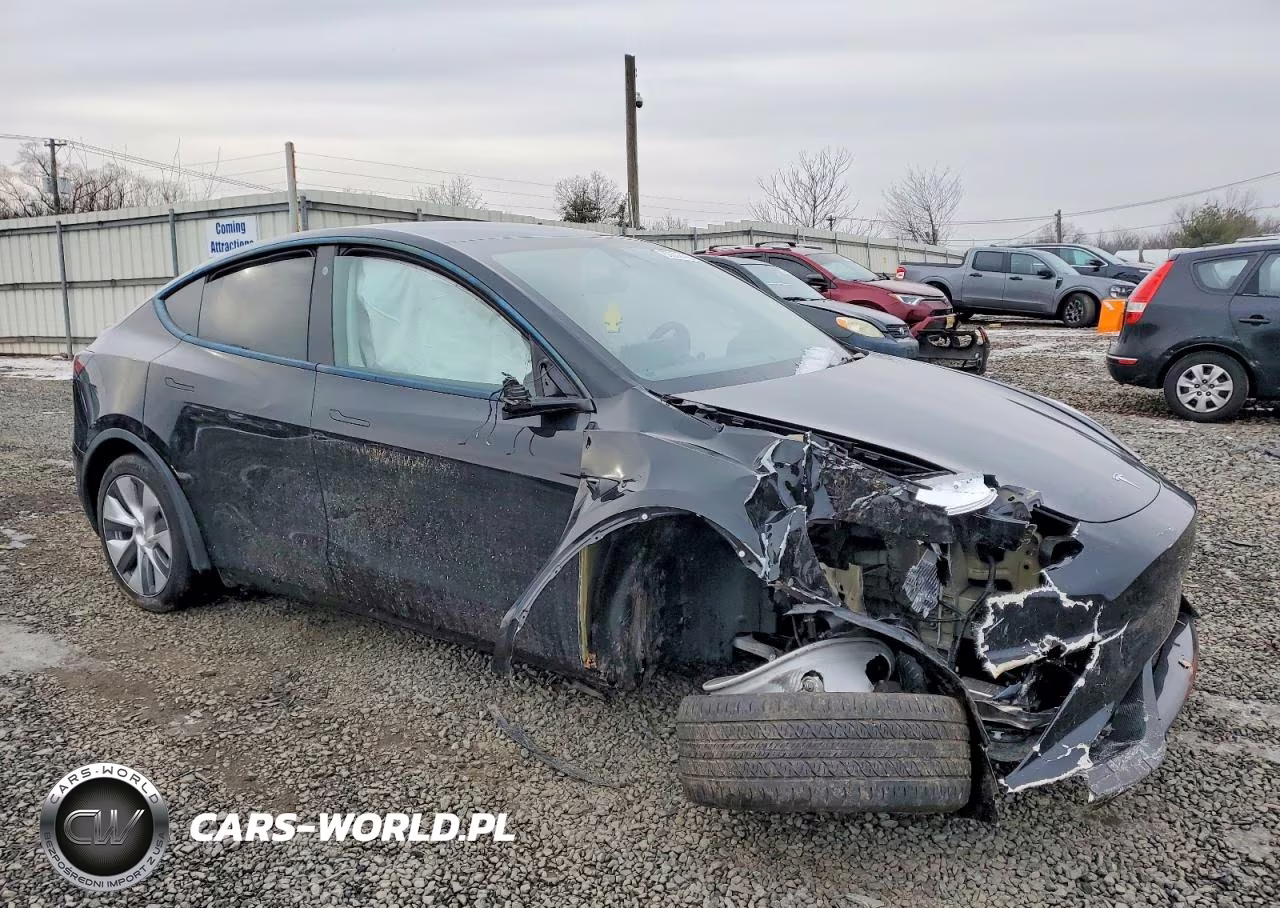 2023 Tesla Model Y VIN:7SAYGDEEXPA119065 - 4