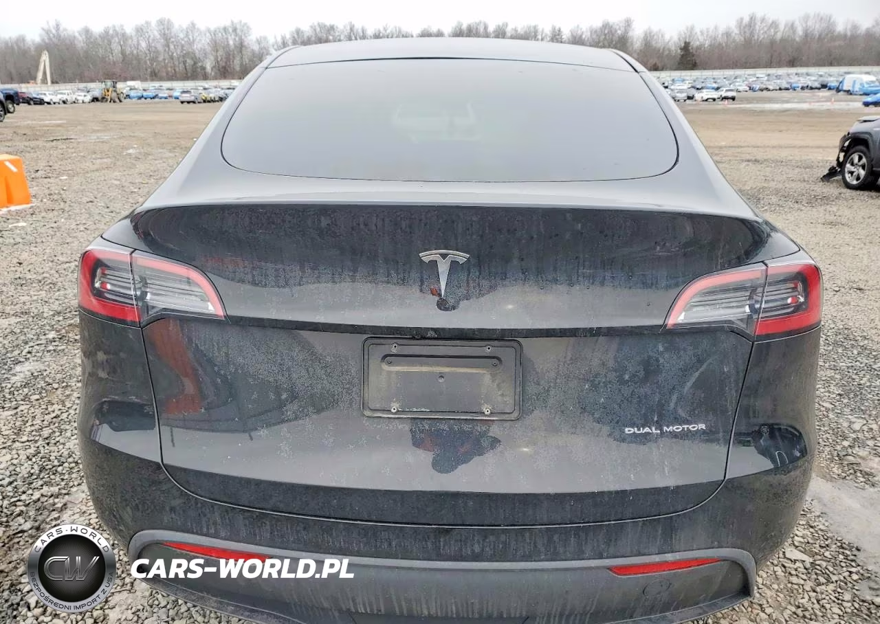 2023 Tesla Model Y VIN:7SAYGDEEXPA119065 - 6