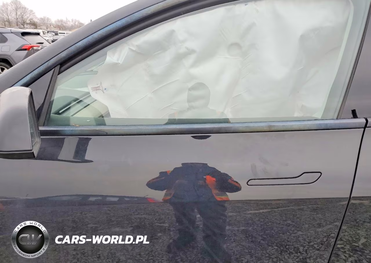 2023 Tesla Model Y VIN:7SAYGDEEXPA119065 - 7