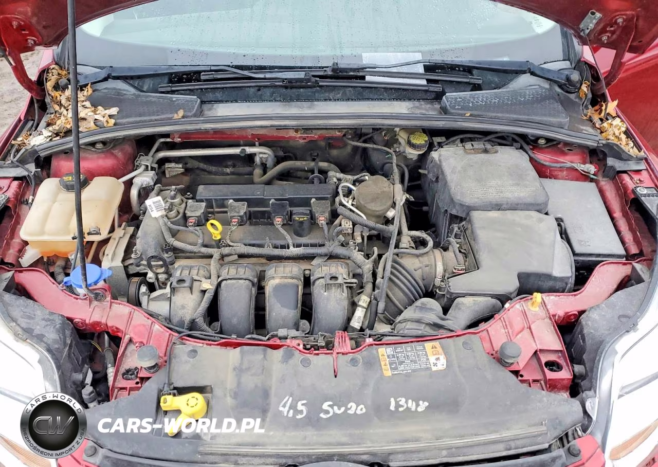 2014 Ford Focus Se VIN:1FADP3F27EL398889 - 11