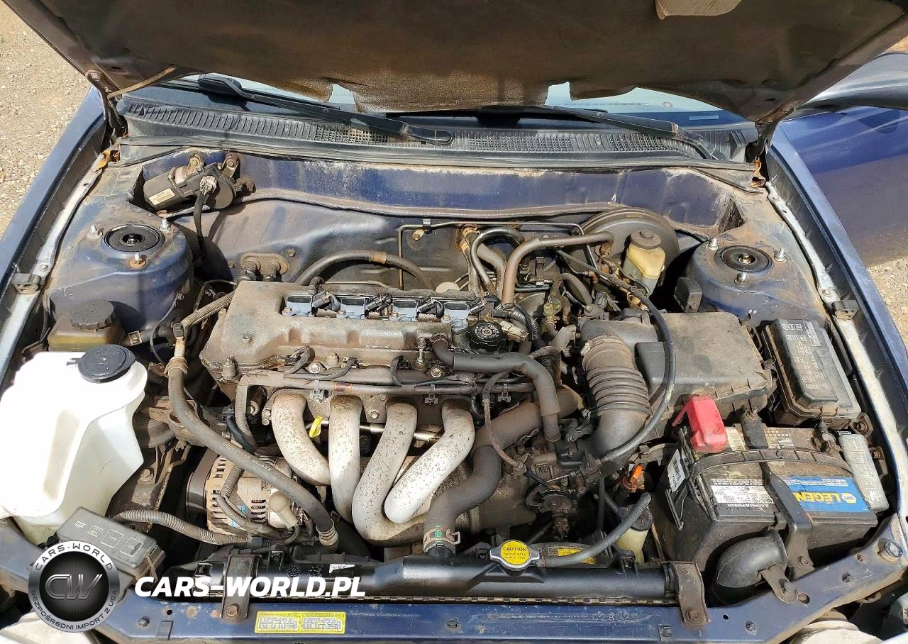 2000 Toyota Corolla VIN:1NXBR12E0YZ363315 - 11