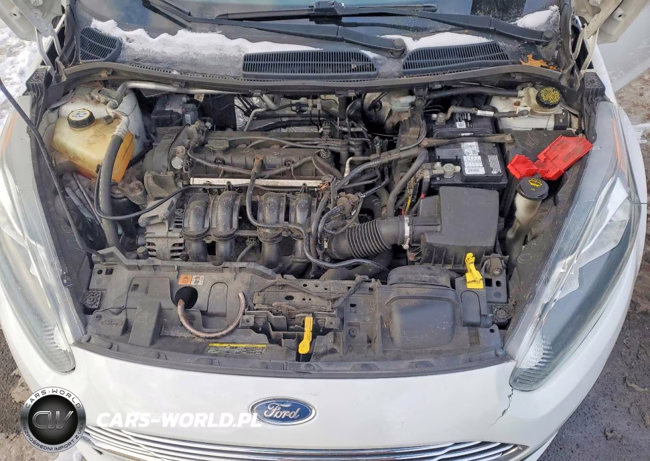 2014 Ford Fiesta Se VIN:3FADP4BJ1EM105960 - 11