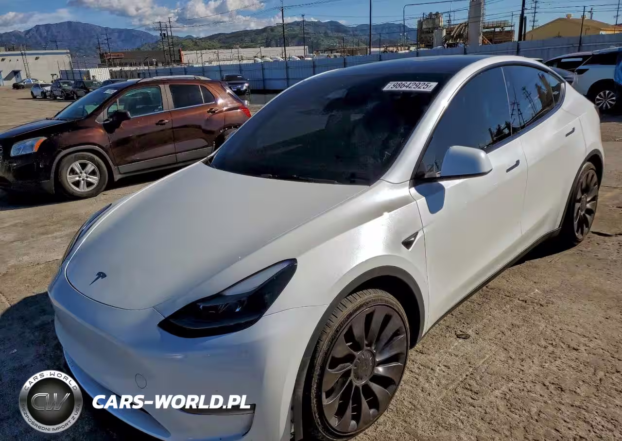 2023 Tesla Model Y