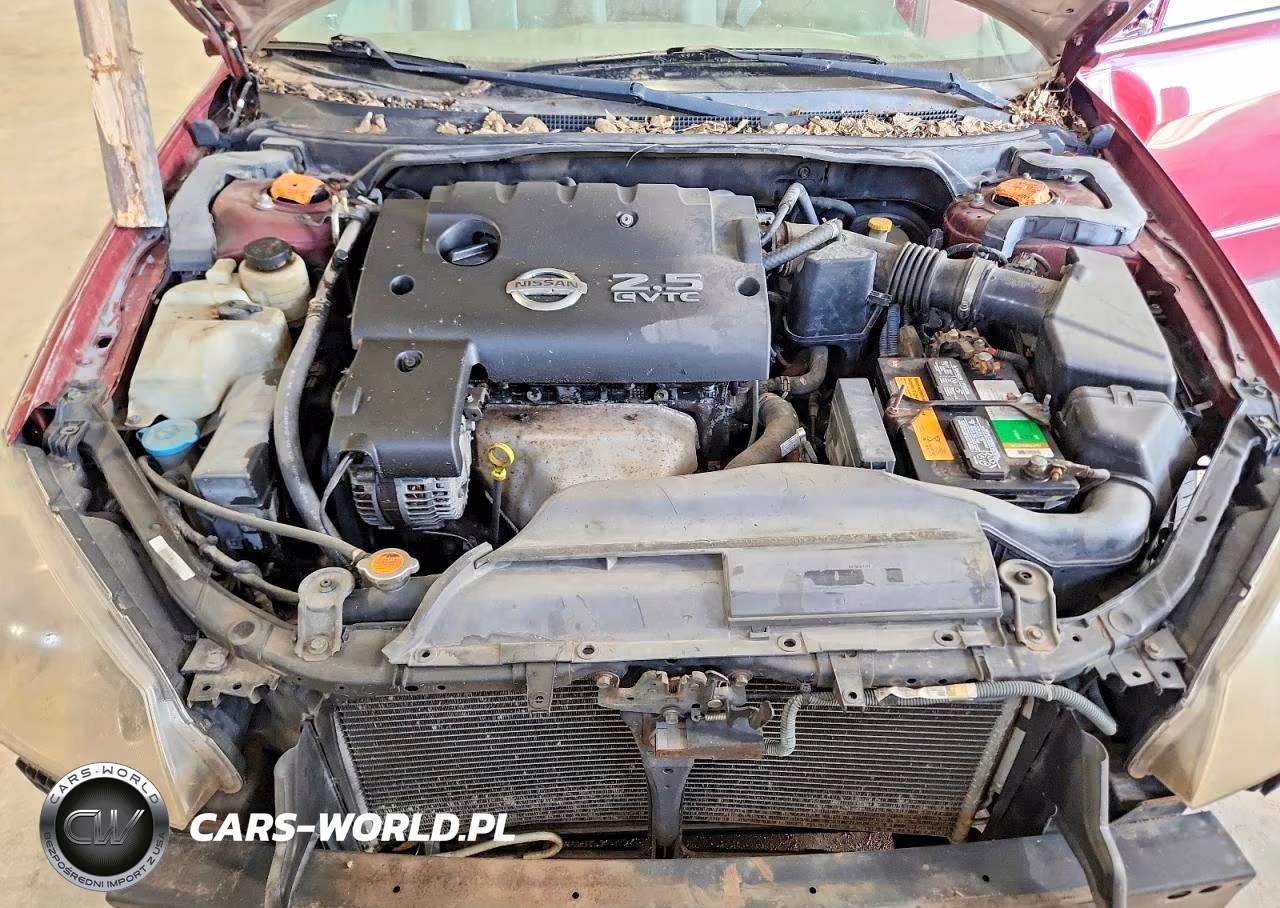 2005 Nissan Altima S VIN:1N4AL11E85C339001 - 11