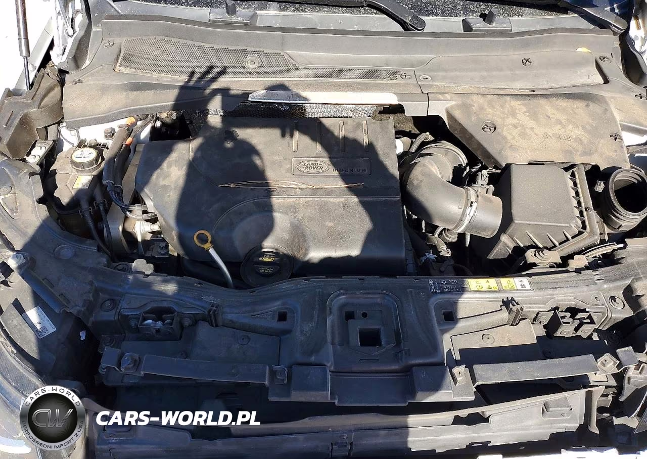 2020 Land Rover Discovery Sport S VIN:SALCJ2FX5LH858251 - 12