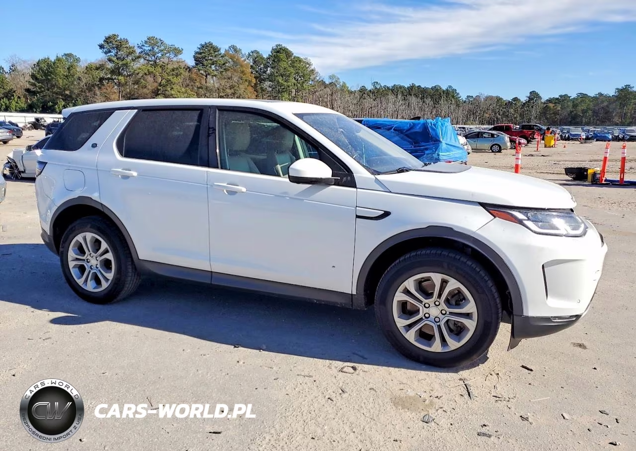 2020 Land Rover Discovery Sport S VIN:SALCJ2FX5LH858251 - 4