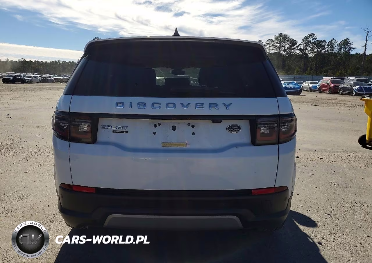 2020 Land Rover Discovery Sport S VIN:SALCJ2FX5LH858251 - 6