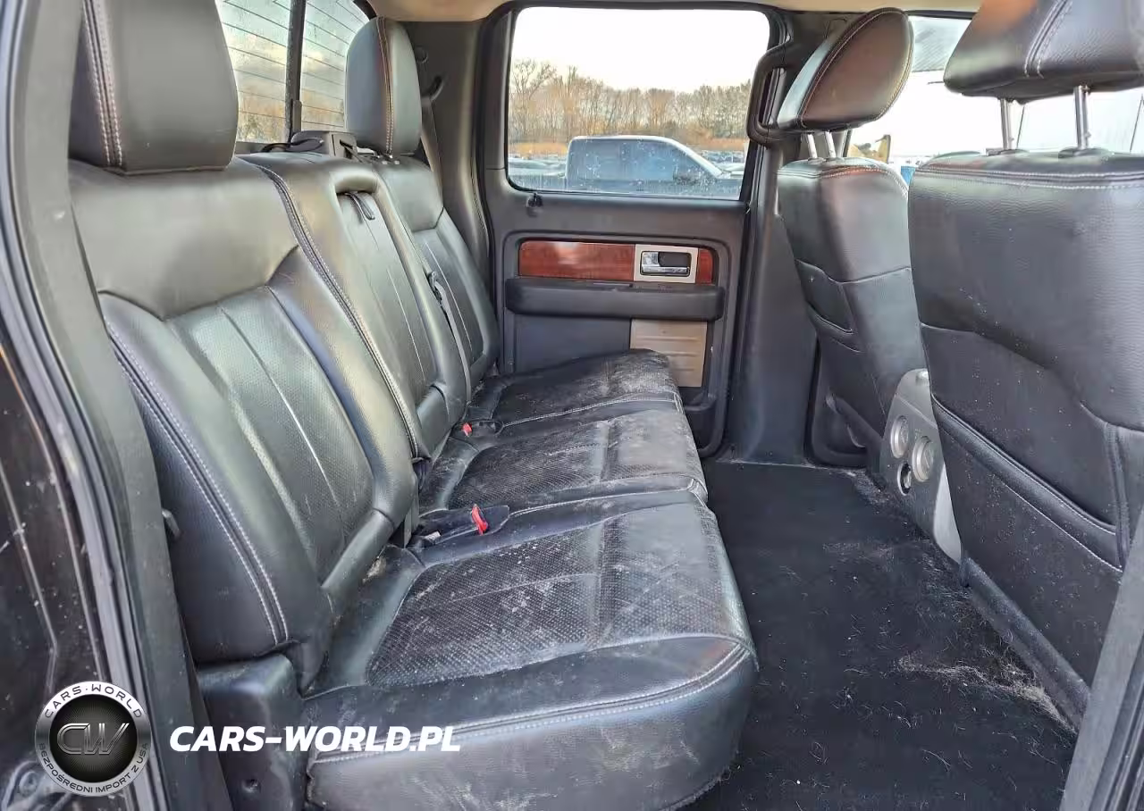 2010 Ford F150 Supercrew VIN:1FTFW1EV7AKA18133 - 10