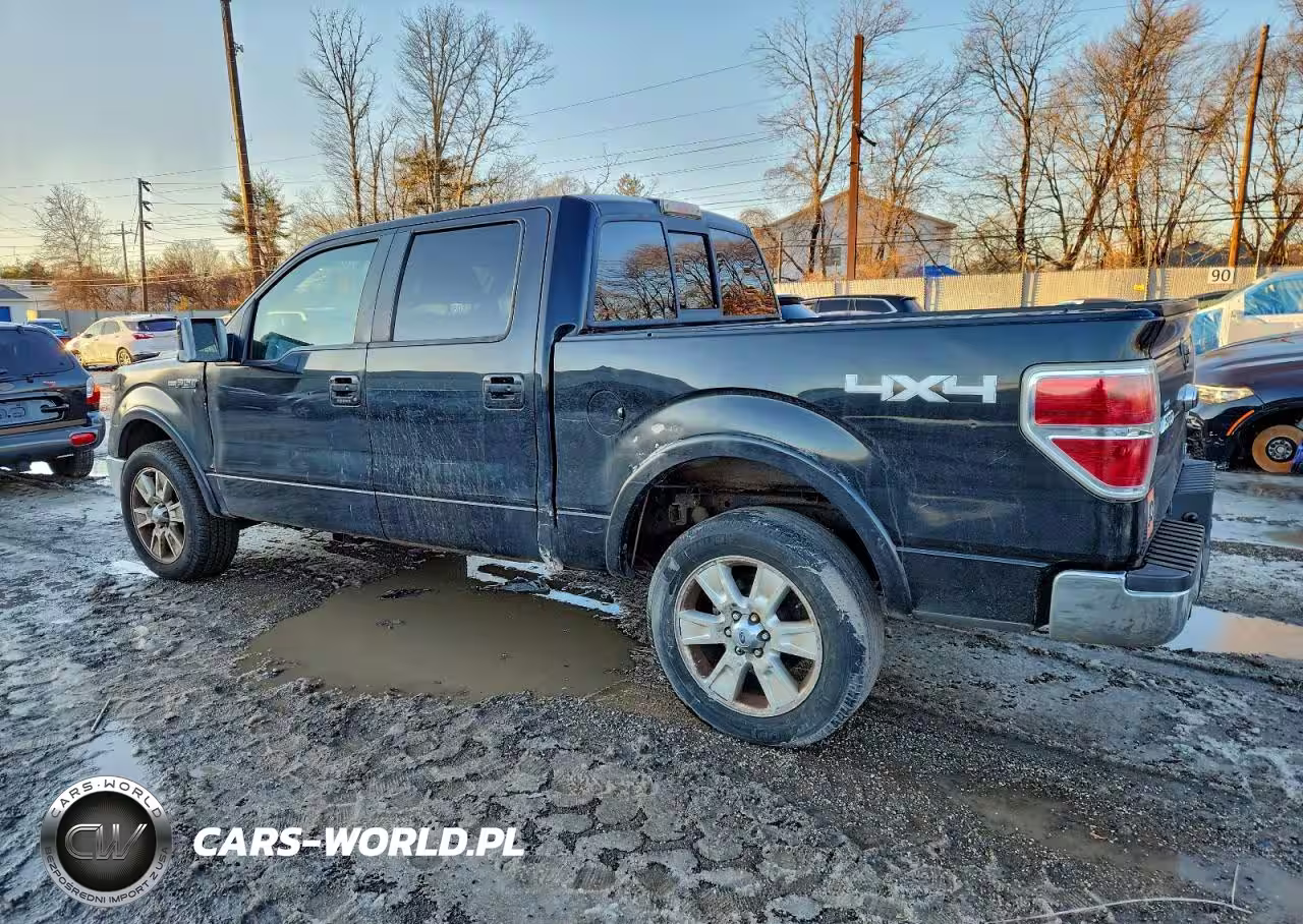 2010 Ford F150 Supercrew VIN:1FTFW1EV7AKA18133 - 2