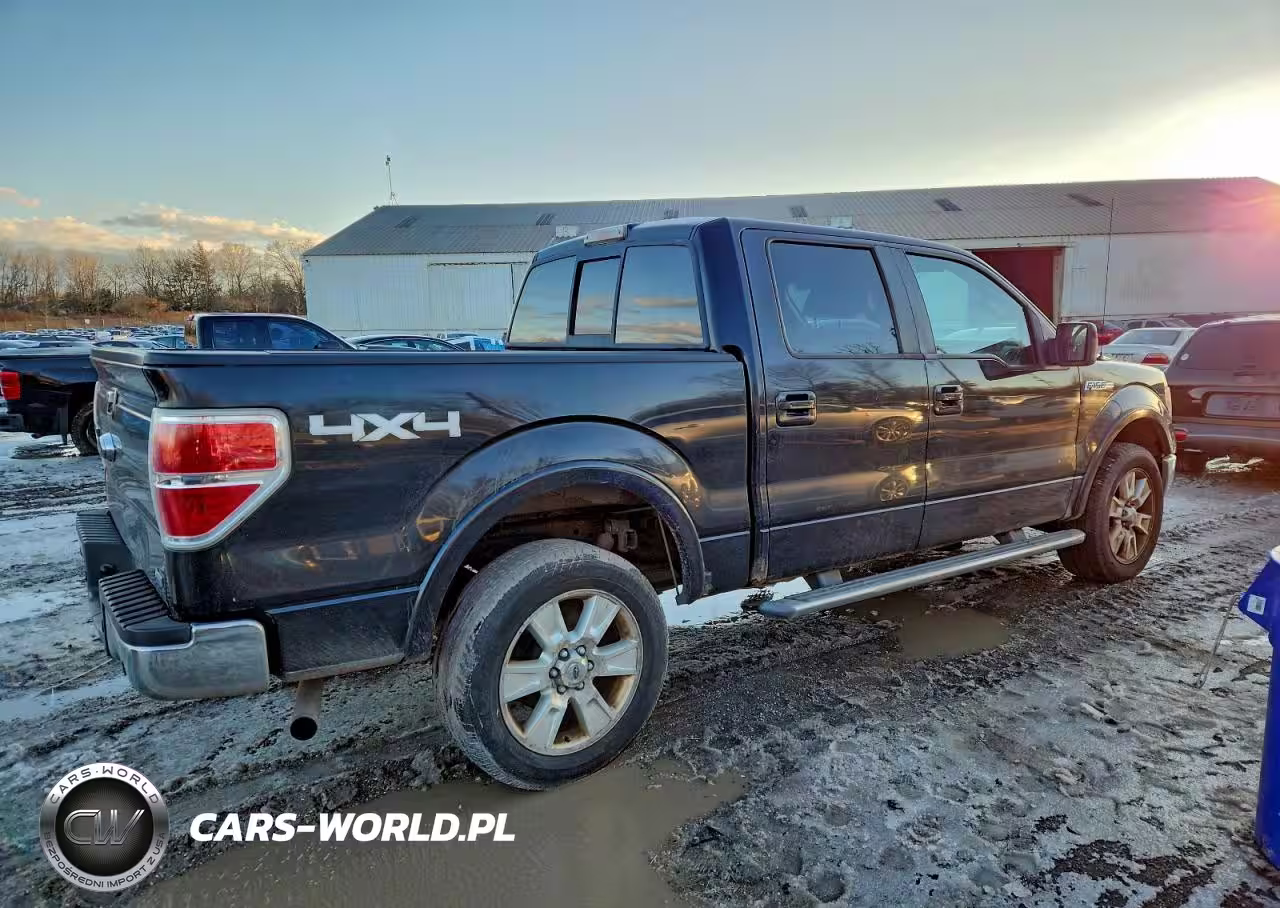 2010 Ford F150 Supercrew VIN:1FTFW1EV7AKA18133 - 3