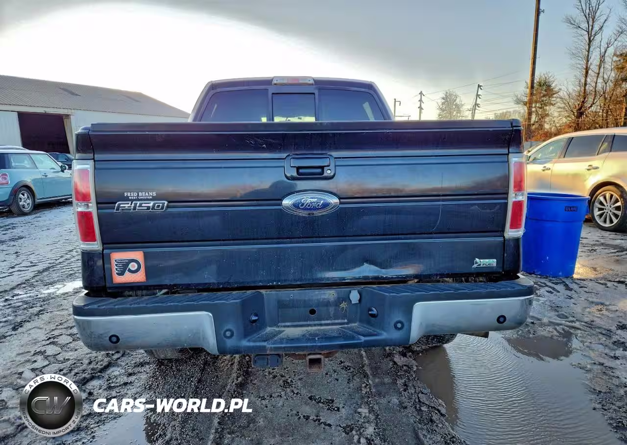 2010 Ford F150 Supercrew VIN:1FTFW1EV7AKA18133 - 6