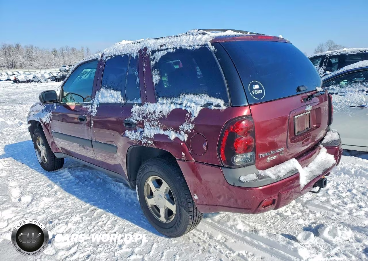 2005 Chevrolet Trailblazer Ls VIN:1GNDT13S452196619 - 2