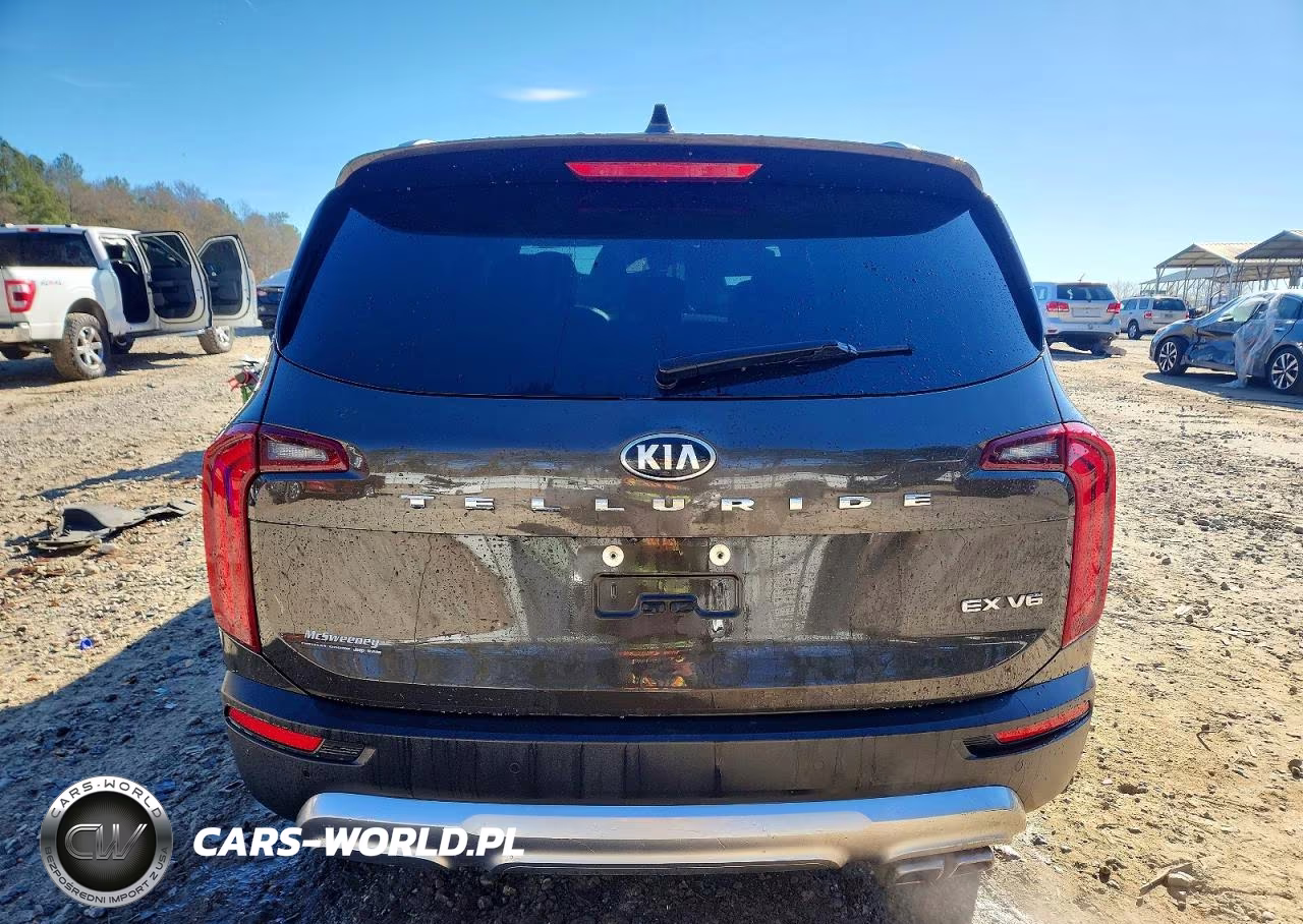 2020 Kia Telluride Ex VIN:5XYP34HC9LG002274 - 6