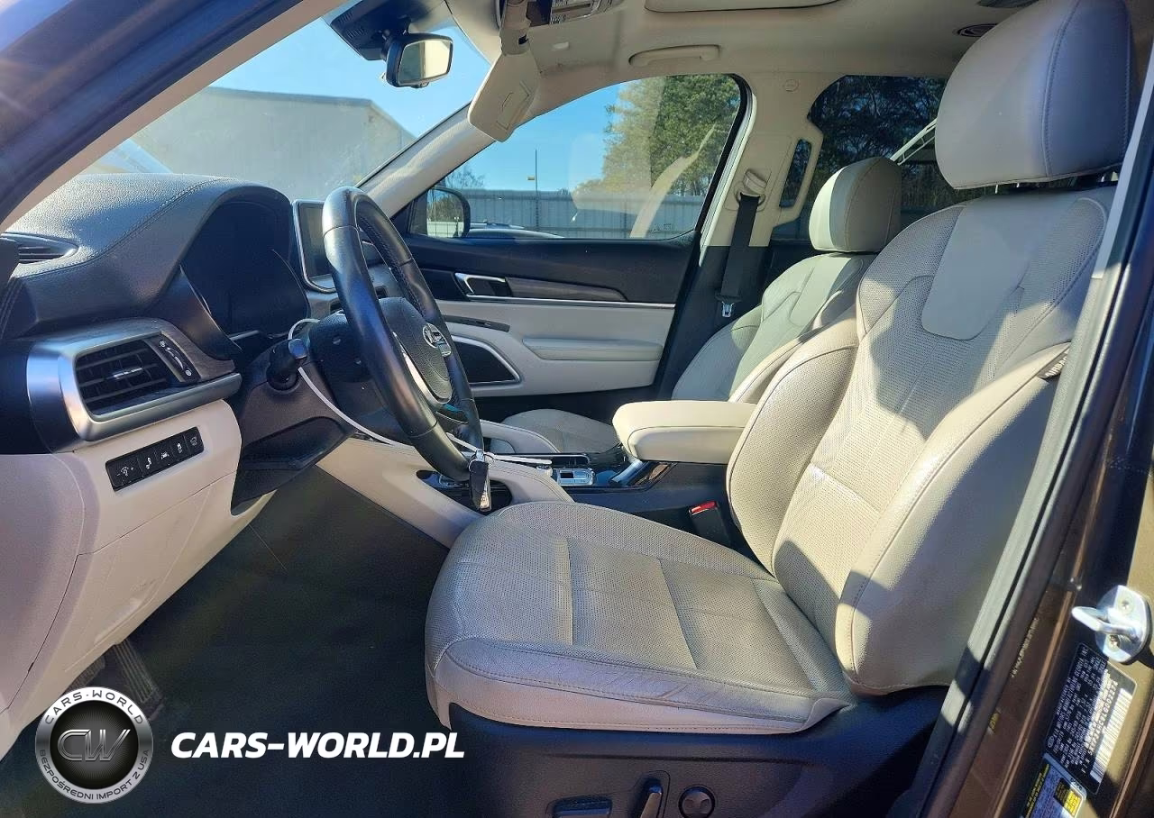 2020 Kia Telluride Ex VIN:5XYP34HC9LG002274 - 7