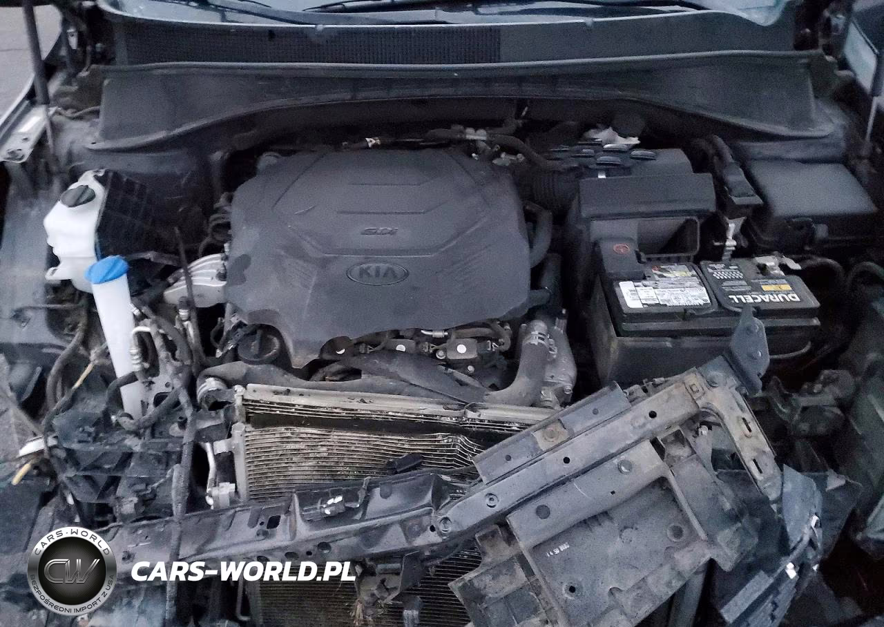 2019 Kia Sorento Sx VIN:5XYPKDA59KG518602 - 12