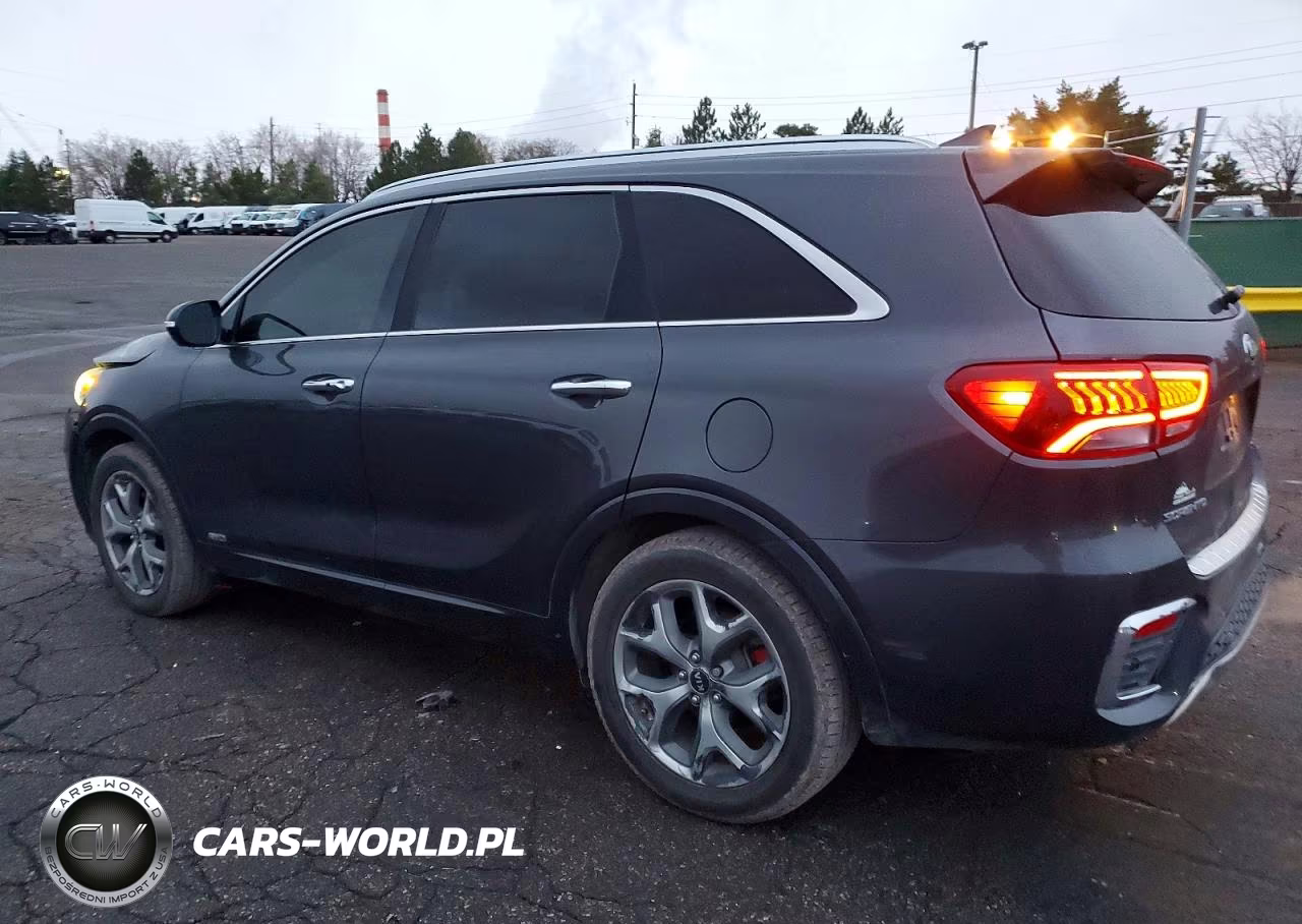 2019 Kia Sorento Sx VIN:5XYPKDA59KG518602 - 2