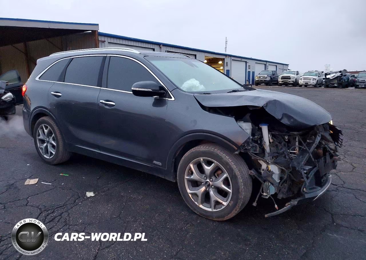 2019 Kia Sorento Sx VIN:5XYPKDA59KG518602 - 4