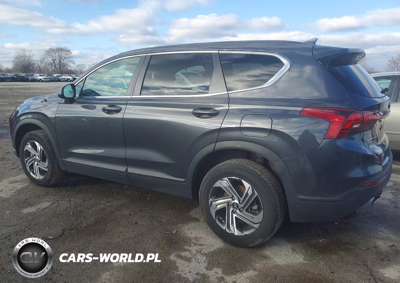 2021 Hyundai Santa Fe Se VIN:5NMS1DAJ9MH346865 - 2