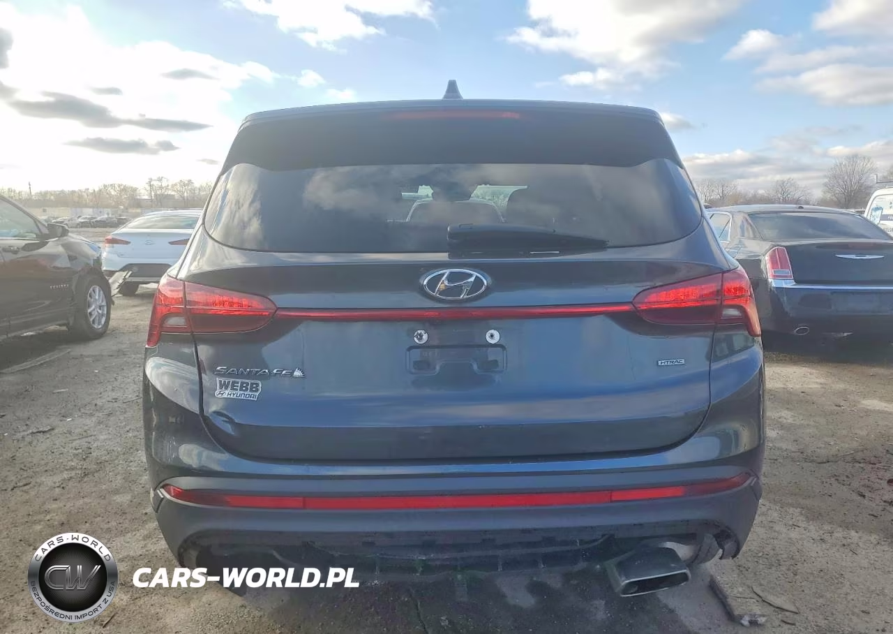 2021 Hyundai Santa Fe Se VIN:5NMS1DAJ9MH346865 - 6