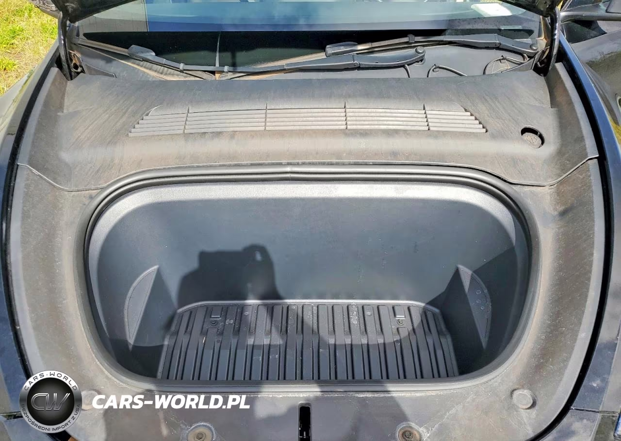 2023 Tesla Model Y VIN:7SAYGDEF6PF666975 - 12