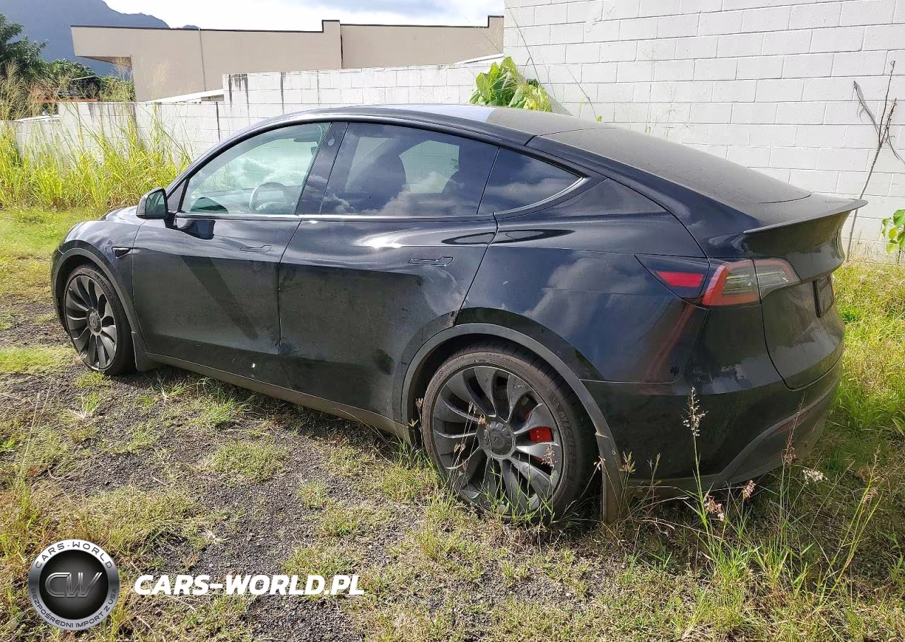 2023 Tesla Model Y VIN:7SAYGDEF6PF666975 - 2