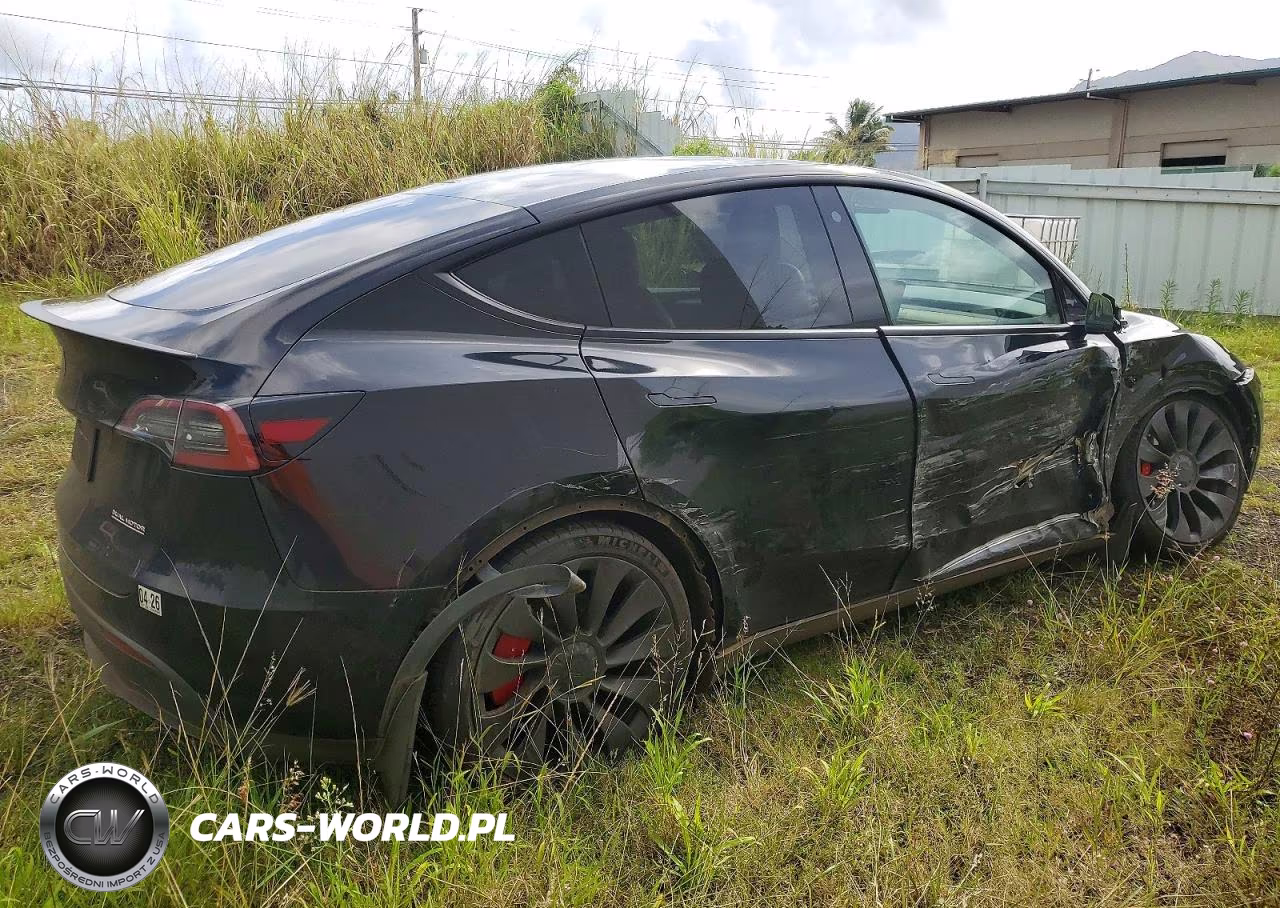 2023 Tesla Model Y VIN:7SAYGDEF6PF666975 - 3