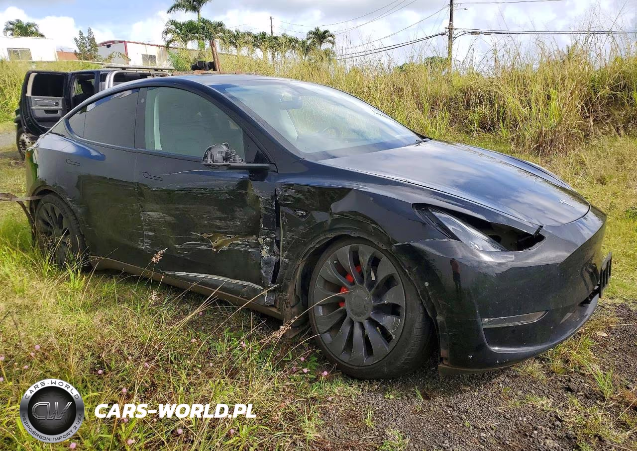 2023 Tesla Model Y VIN:7SAYGDEF6PF666975 - 4
