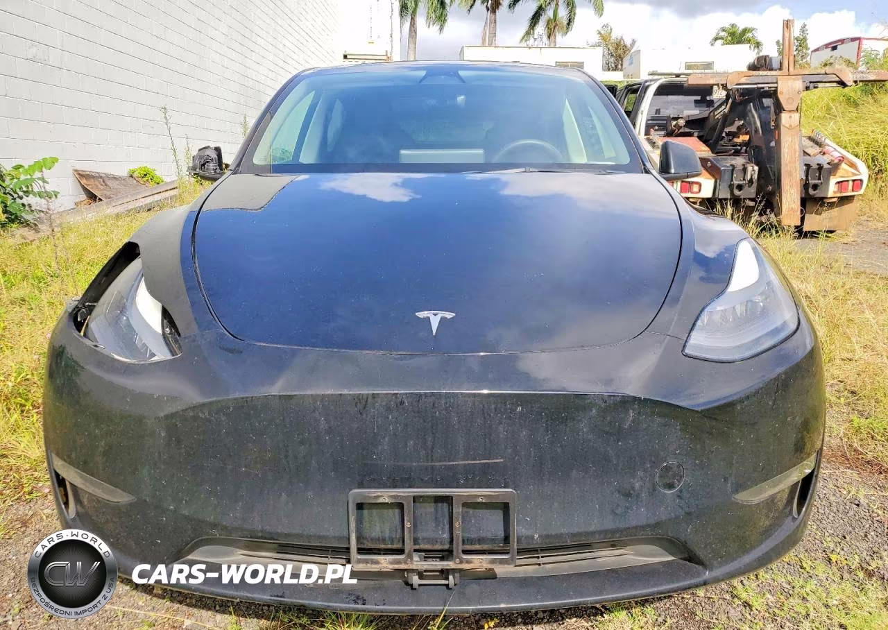 2023 Tesla Model Y VIN:7SAYGDEF6PF666975 - 5
