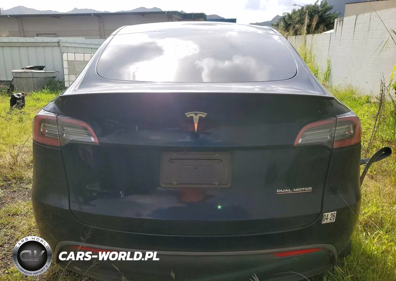 2023 Tesla Model Y VIN:7SAYGDEF6PF666975 - 6