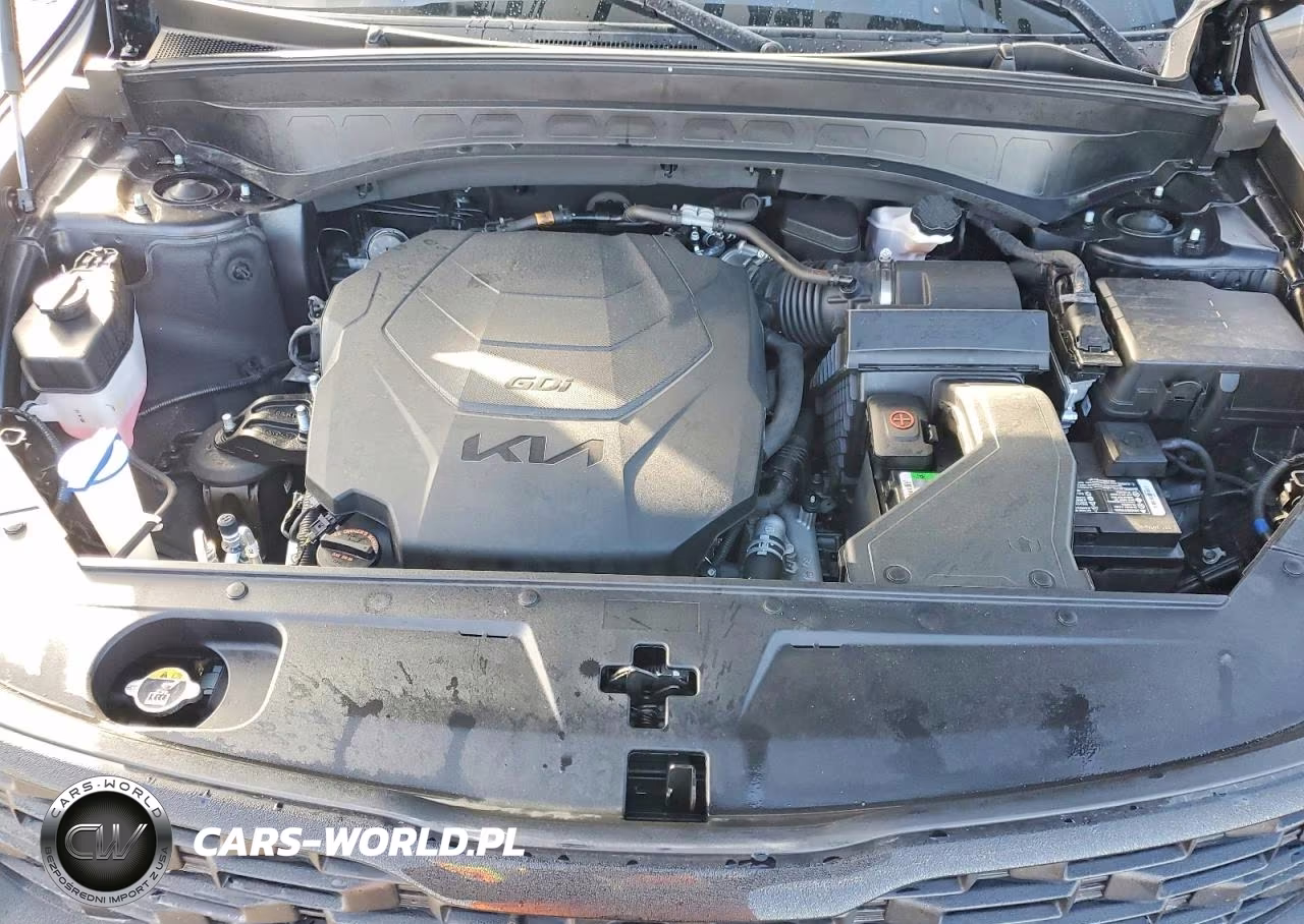 2022 Kia Telluride Ex VIN:5XYP3DHC4NG260043 - 12