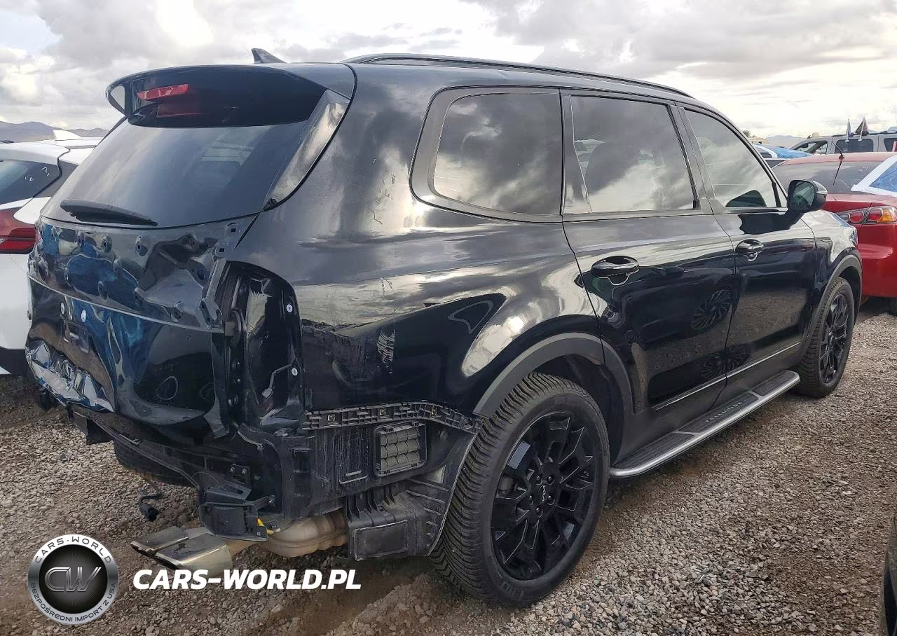 2022 Kia Telluride Ex VIN:5XYP3DHC4NG260043 - 3