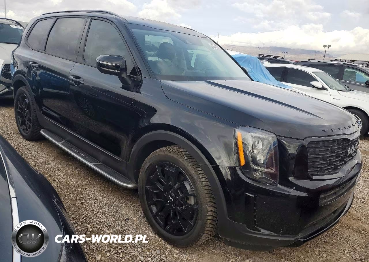 2022 Kia Telluride Ex VIN:5XYP3DHC4NG260043 - 4