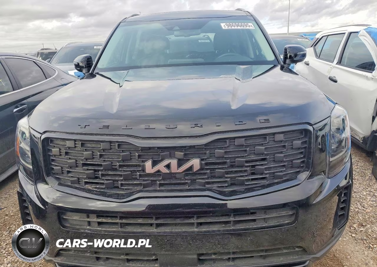2022 Kia Telluride Ex VIN:5XYP3DHC4NG260043 - 5