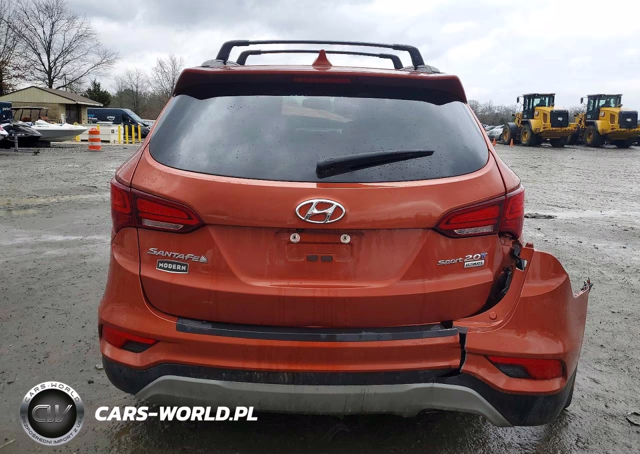 2017 Hyundai Santa Fe Sport VIN:5XYZW4LA3HG477335 - 6