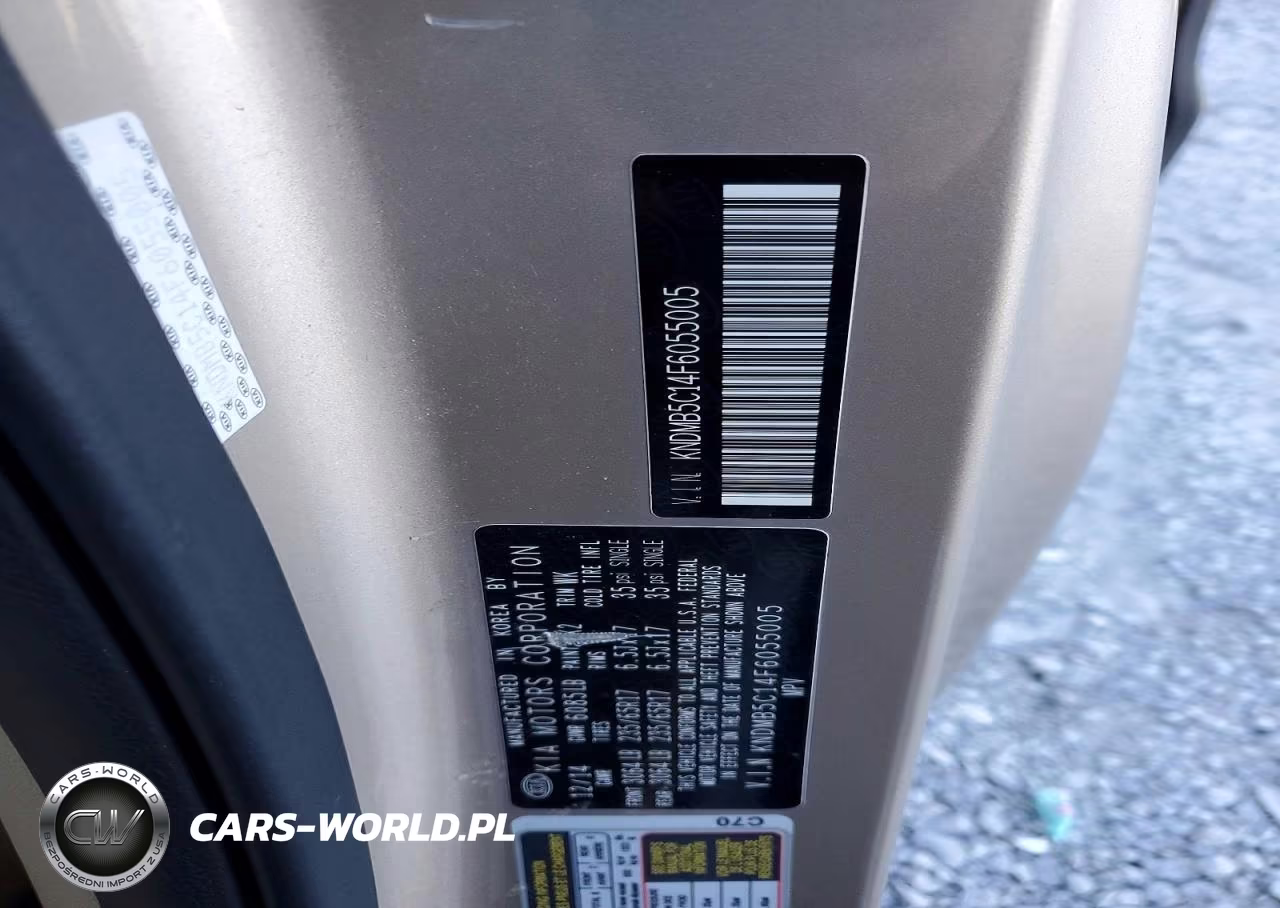 2015 Kia Sedona Lx VIN:KNDMB5C14F6055005 - 13