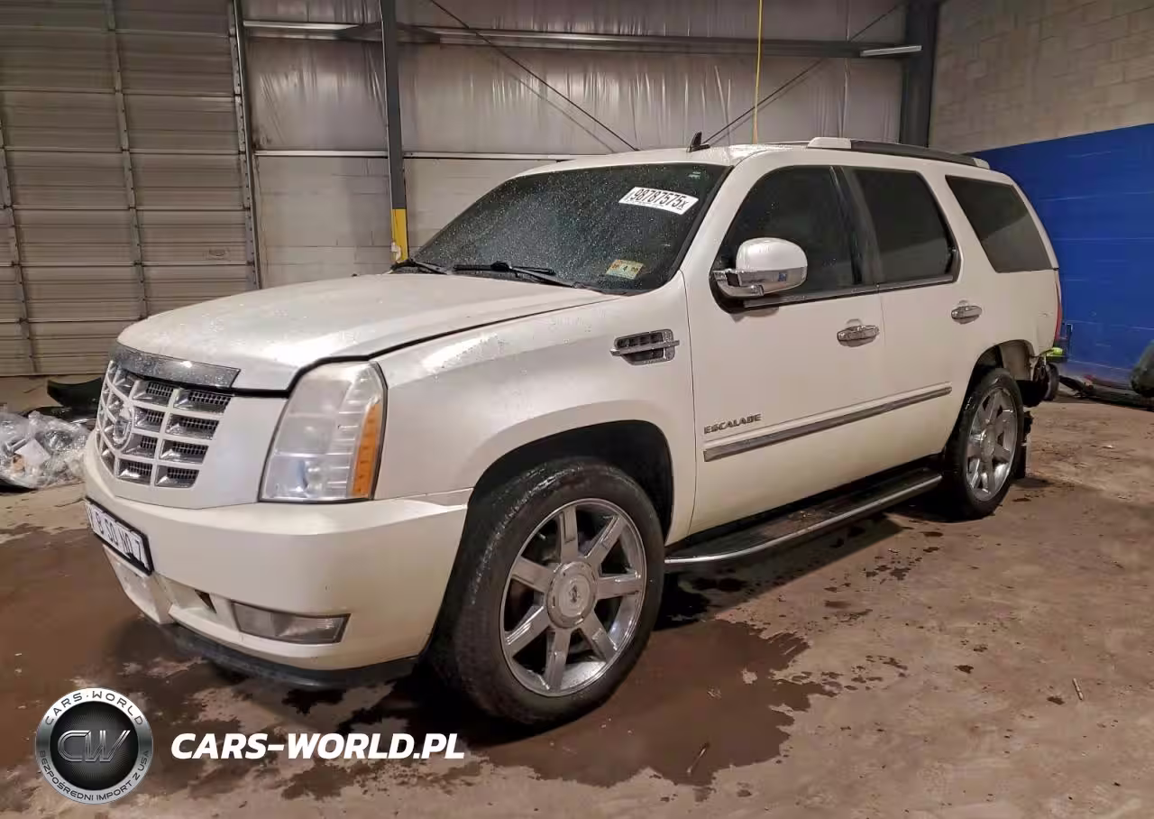 2010 Cadillac Escalade Luxury