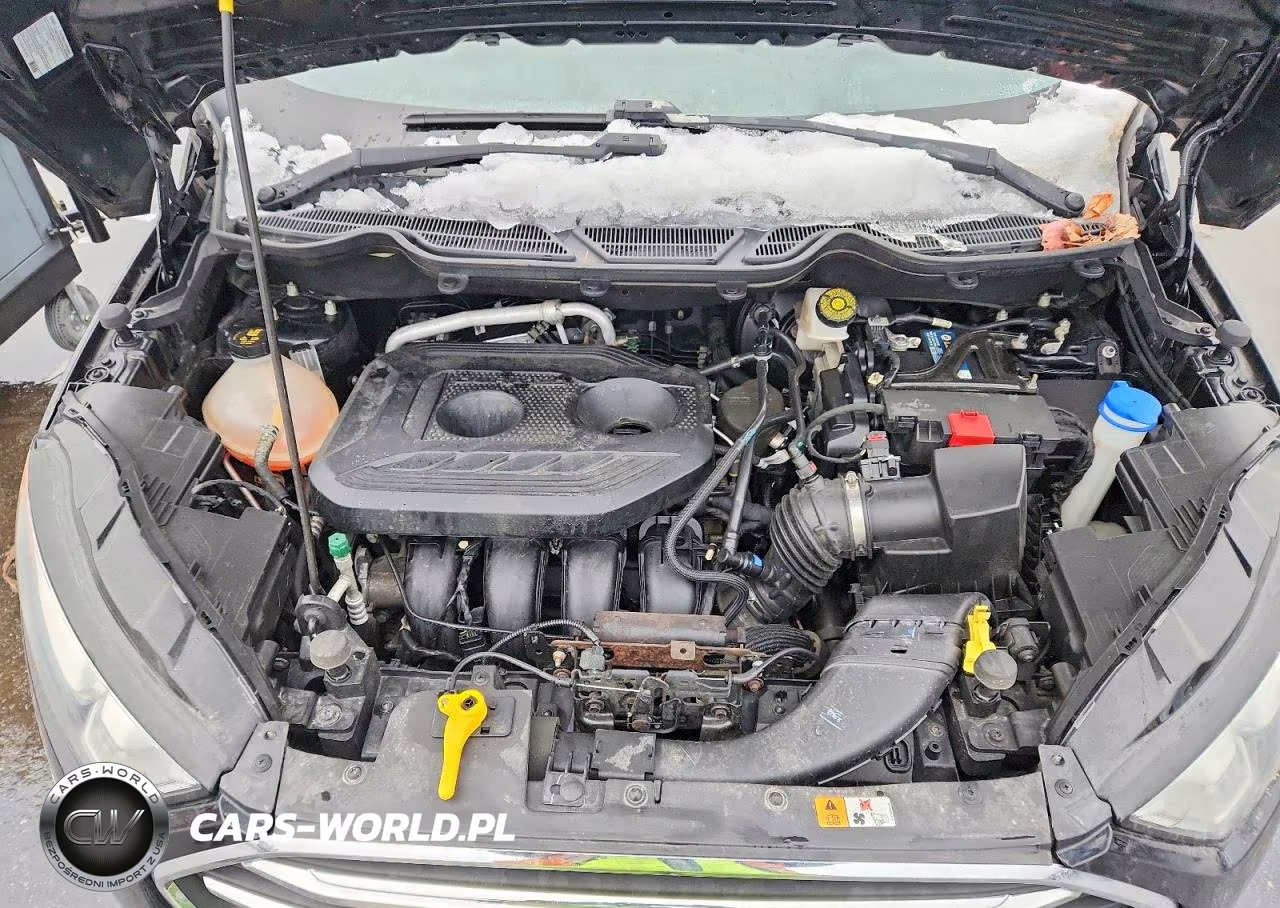 2020 Ford Ecosport Titanium VIN:MAJ6S3KL0LC367566 - 11