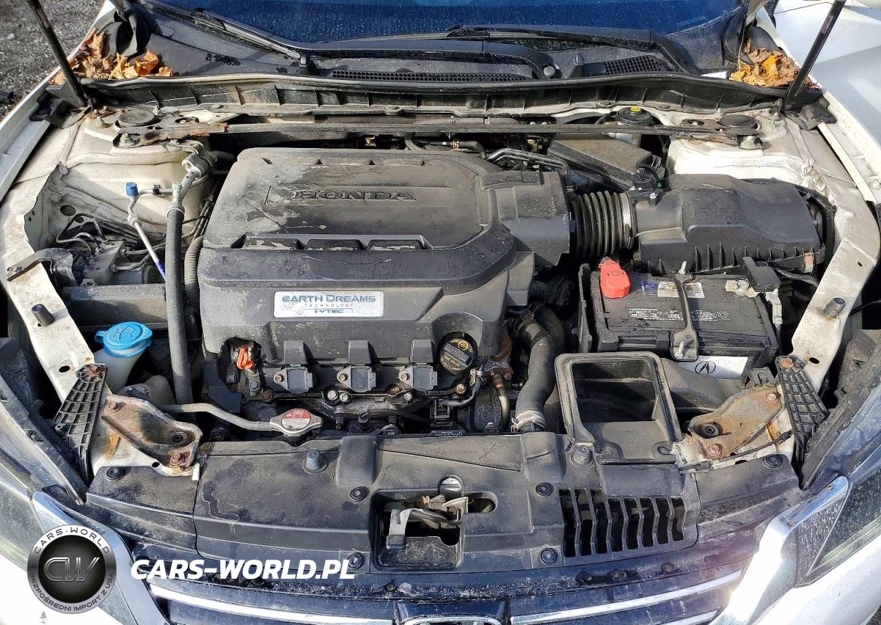 2014 Honda Accord Exl VIN:1HGCR3F89EA000423 - 11
