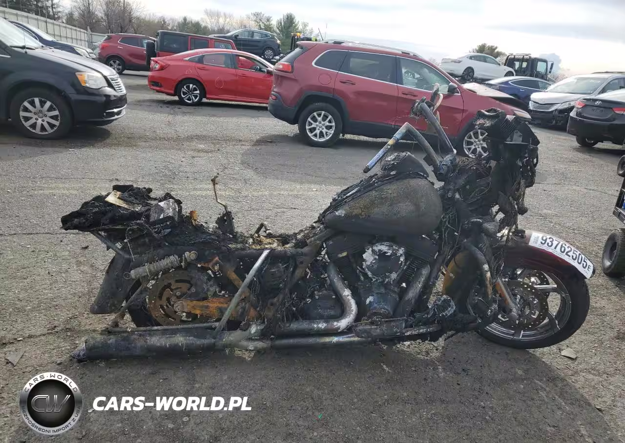 2011 Harley-Davidson Fltruse