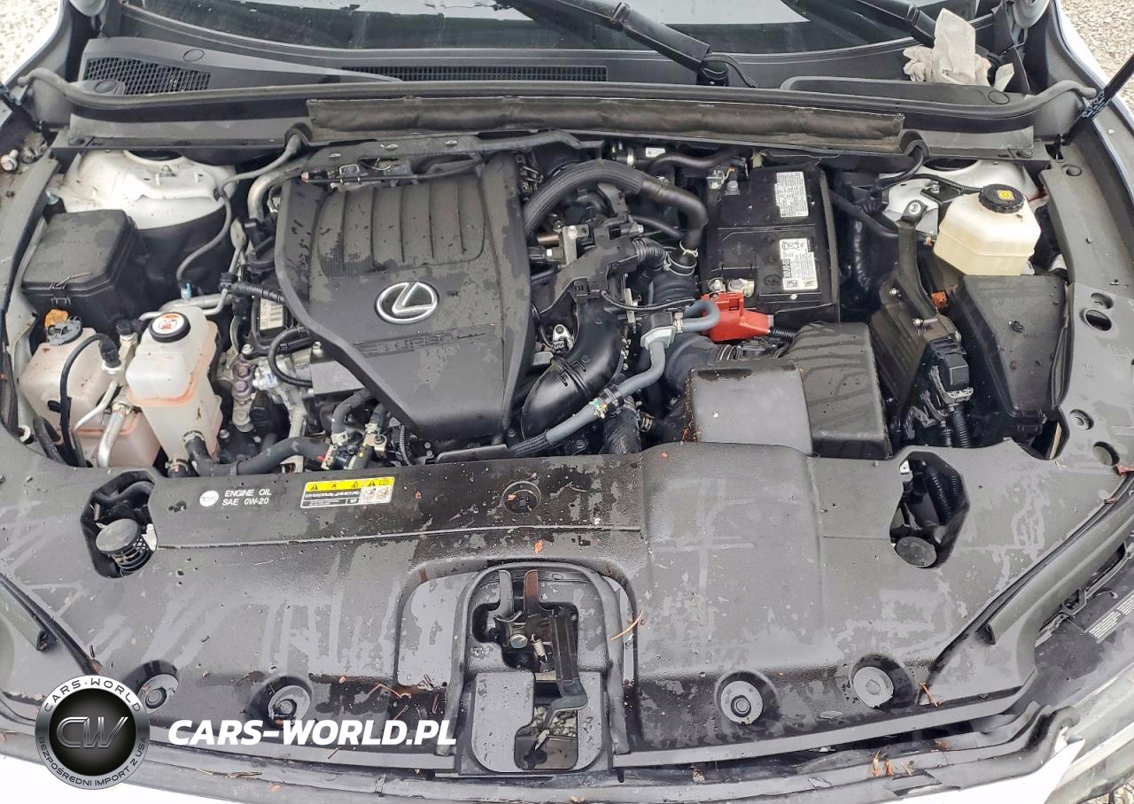 2025 Lexus Rx 350 Base VIN:2T2BAMCA7SC090463 - 12