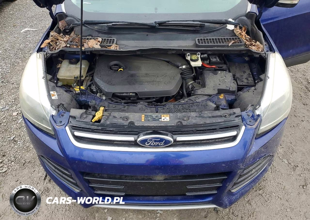 2014 Ford Escape Titanium VIN:1FMCU0JX7EUE51001 - 12