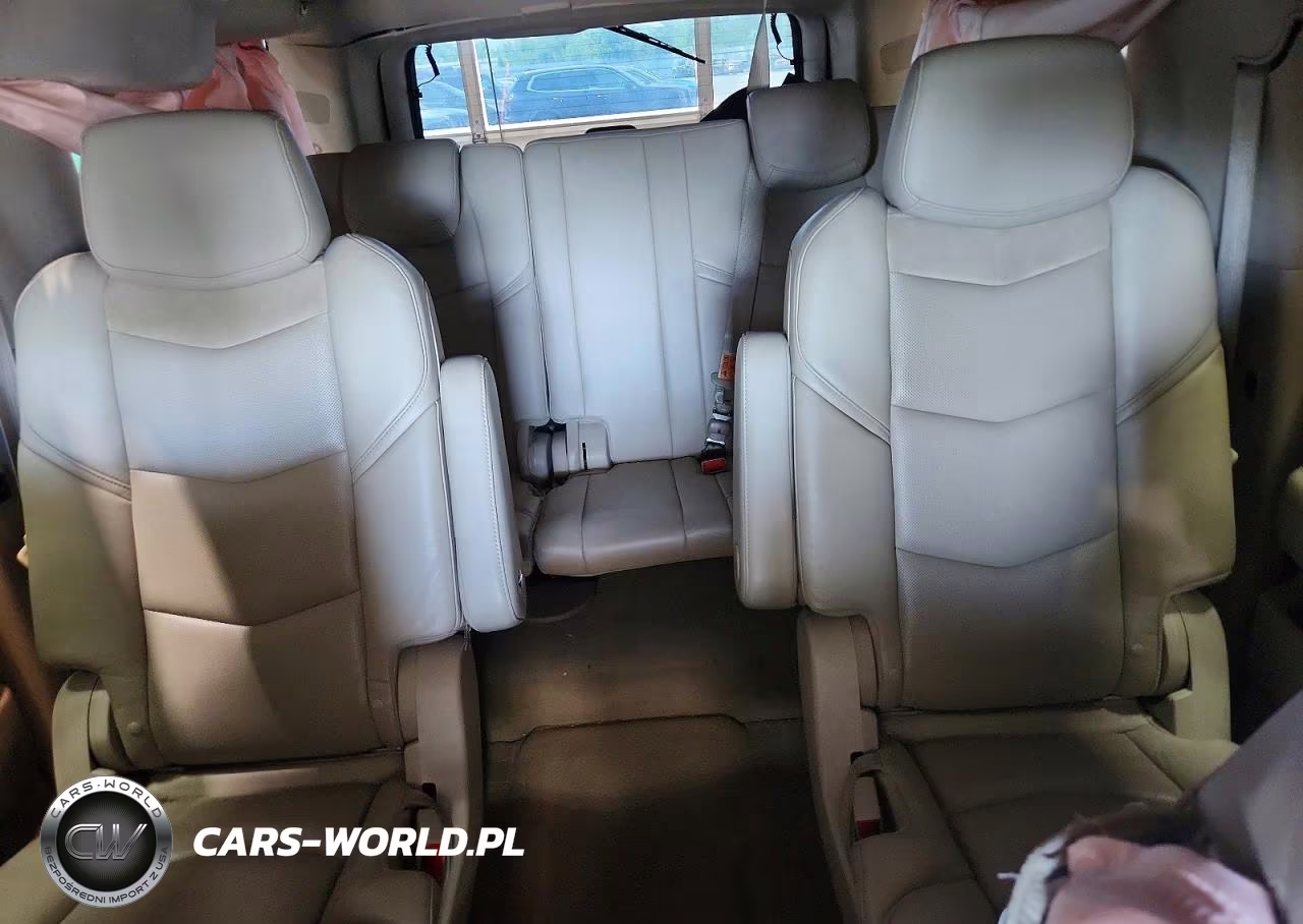 2019 Cadillac Escalade Esv Luxury VIN:1GYS4HKJXKR395623 - 10