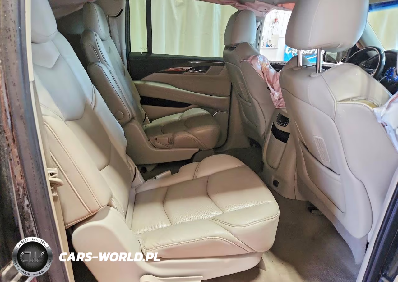 2019 Cadillac Escalade Esv Luxury VIN:1GYS4HKJXKR395623 - 11