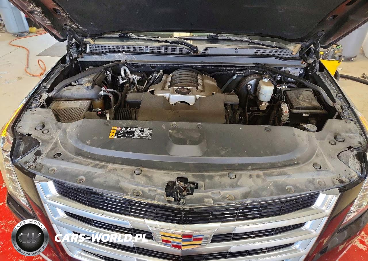2019 Cadillac Escalade Esv Luxury VIN:1GYS4HKJXKR395623 - 12