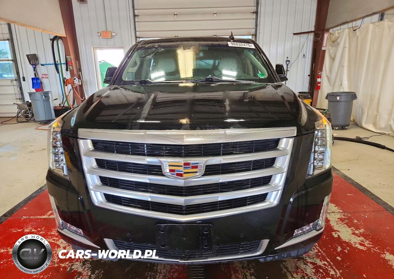 2019 Cadillac Escalade Esv Luxury VIN:1GYS4HKJXKR395623 - 5